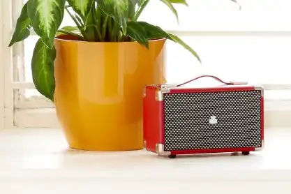 Bluetooth DJ Speakers | Wireless DJ Speakers | Active DJ Subwoofer