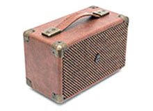Bluetooth DJ Speakers | Wireless DJ Speakers | Active DJ Subwoofer